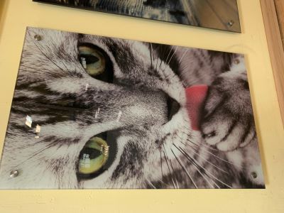 Фотопечать